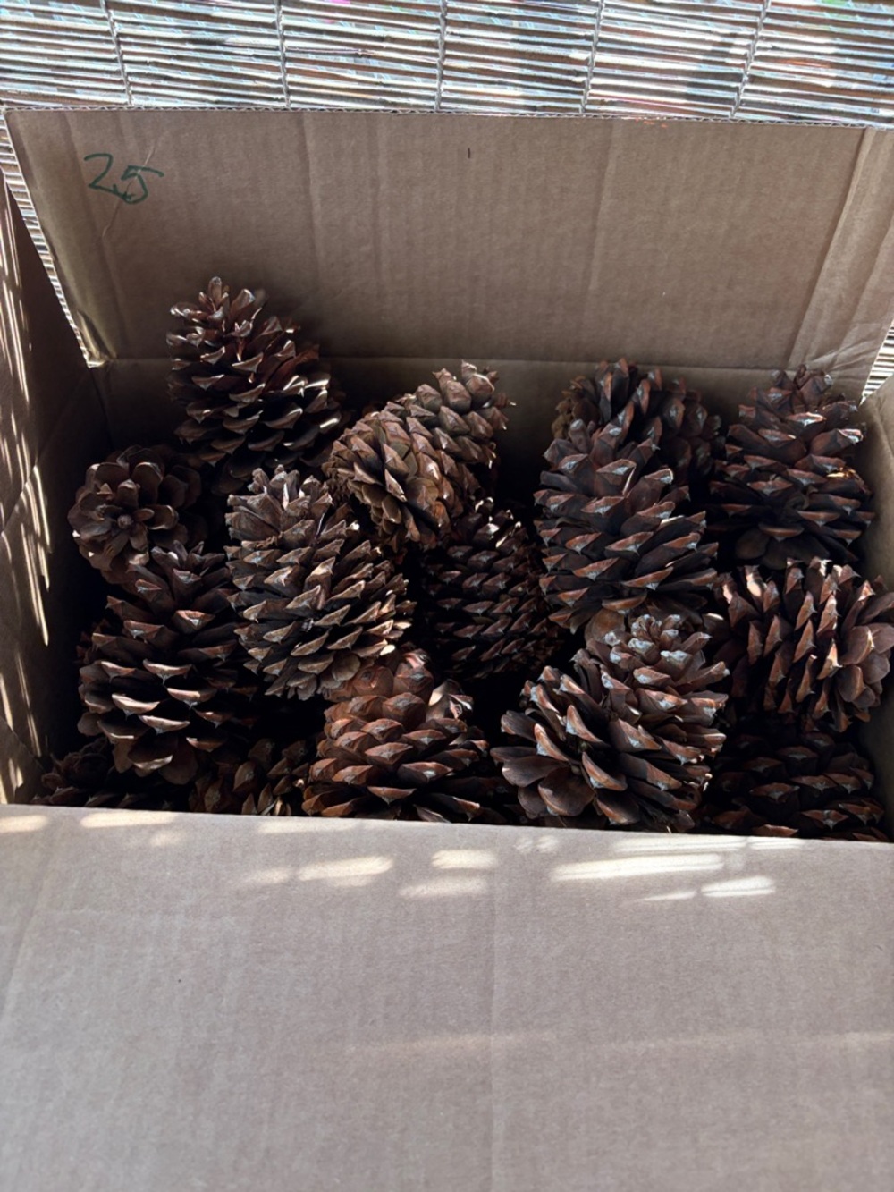 Natural Brown Pinecone Decorative Accents - Home Art